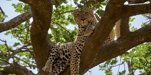 best tour company in moshi | arusha, tanzania 